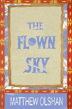 flown sky cover art